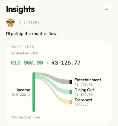 Meer’s Insights screen: a September 2026 money-flow diagram splitting R19 000 of income across Entertainment, Dining Out and Transport.